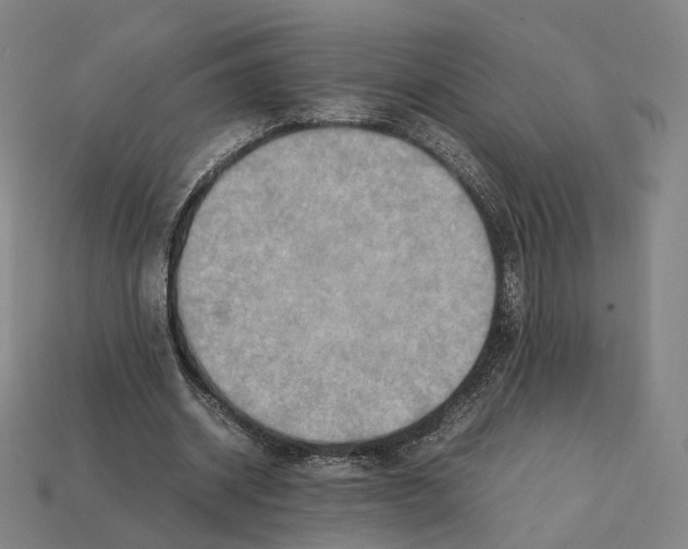 X0000112410534200909251457