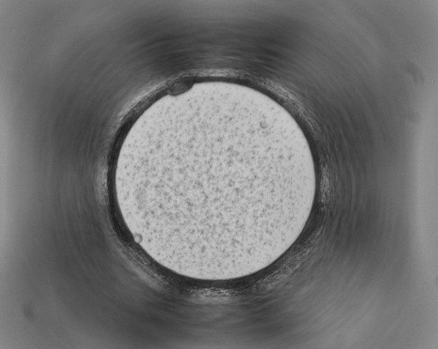 X0000112410535200909251457