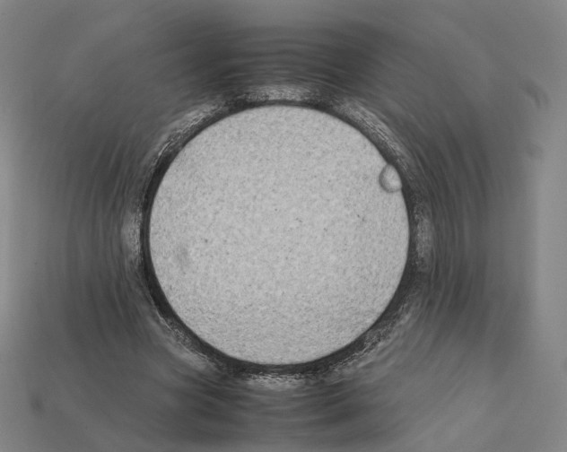 X0000112410537200909251457