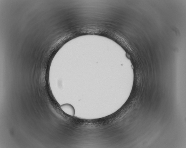 X0000112410538200909251458
