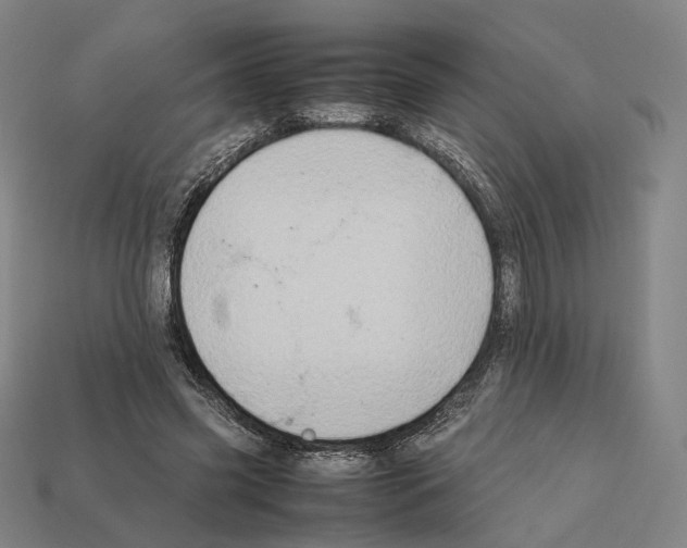X0000112410541200909251458