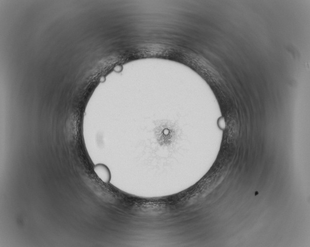 X0000112410546200909251458