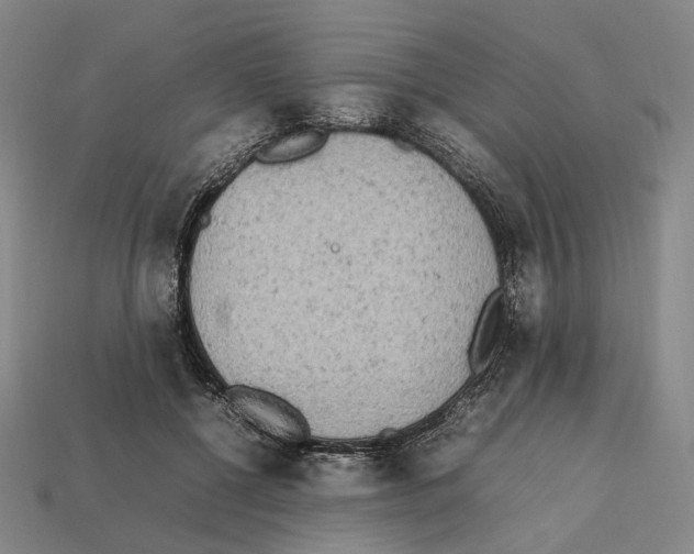 X0000112410552200909251458