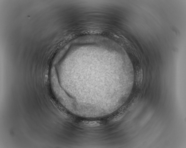 X0000112410553200909251458