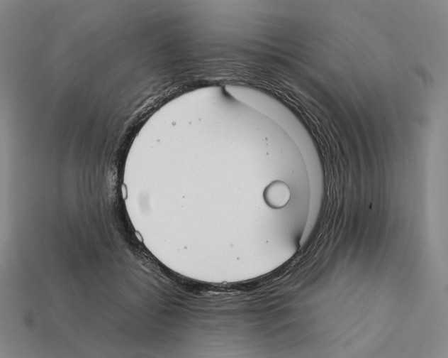 X0000112410556200909251458