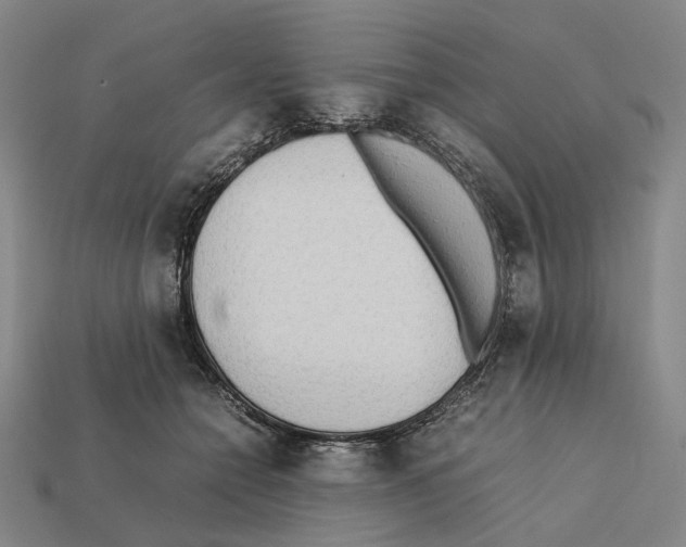 X0000112410558200909251458