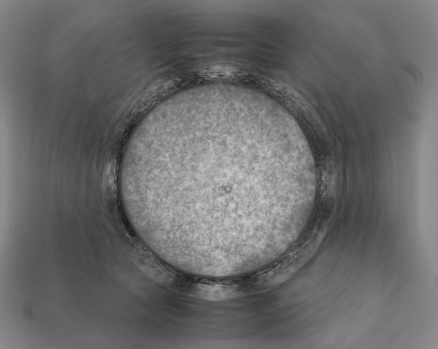 X0000112410561200909251458