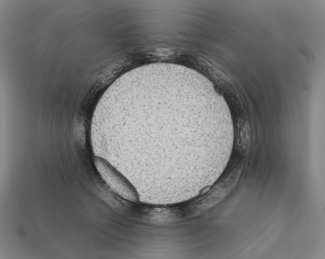 X0000112410562200909251458