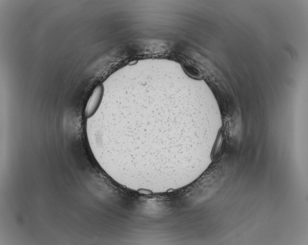 X0000112410564200909251458