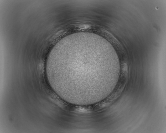 X0000112410565200909251458