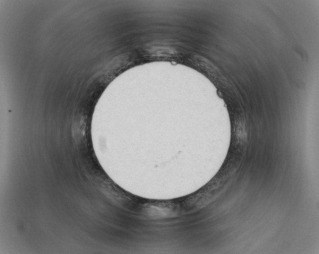 X0000112410567200909251458