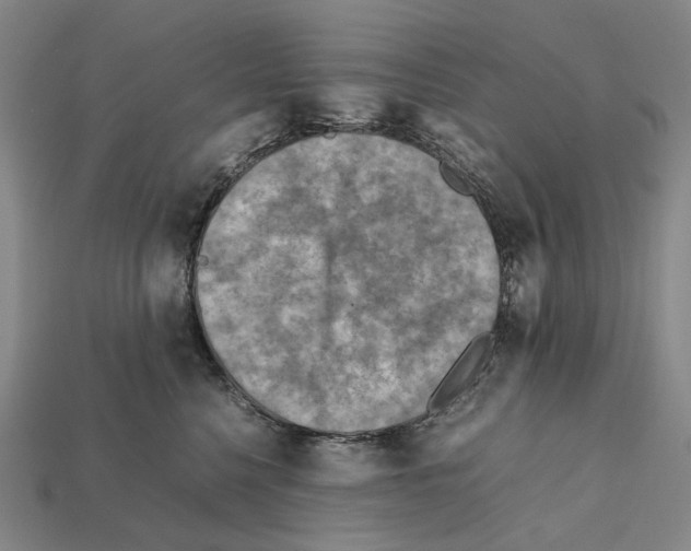 X0000112410568200909251458