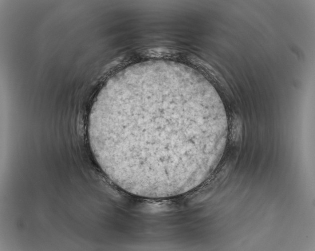 X0000112410569200909251458