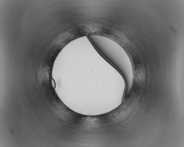 X0000112410570200909251458