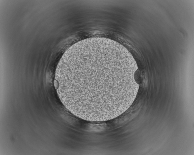 X0000112410571200909251458
