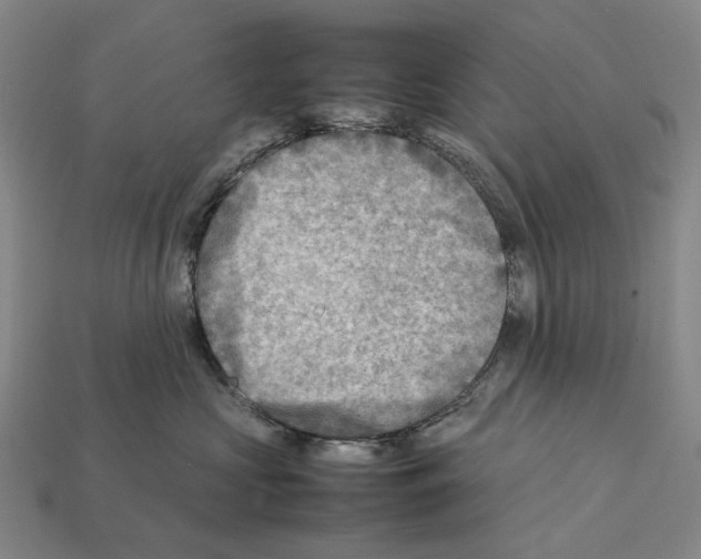 X0000112410573200909251458