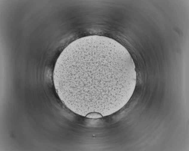 X0000112410575200909251458