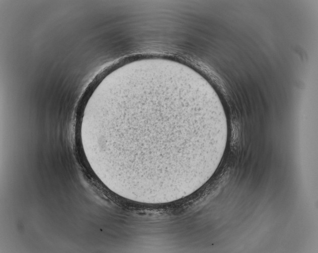 X0000112410580200909251457