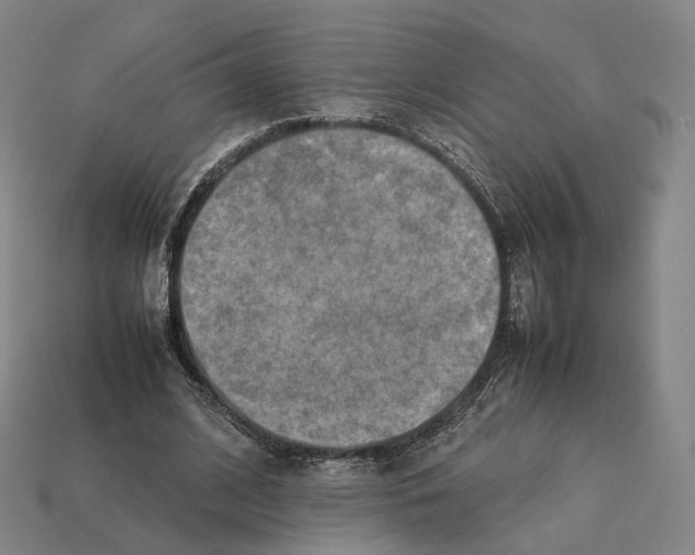 X0000112410584200909251457