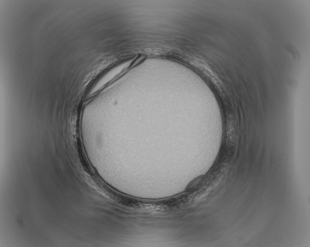 X0000112410585200909251457