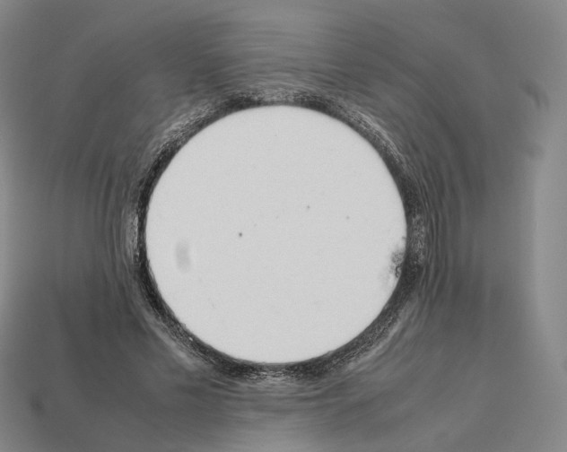 X0000112410589200909251457
