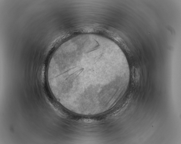 X0000112410590200909251457