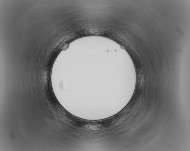 X0000112410595200909251457