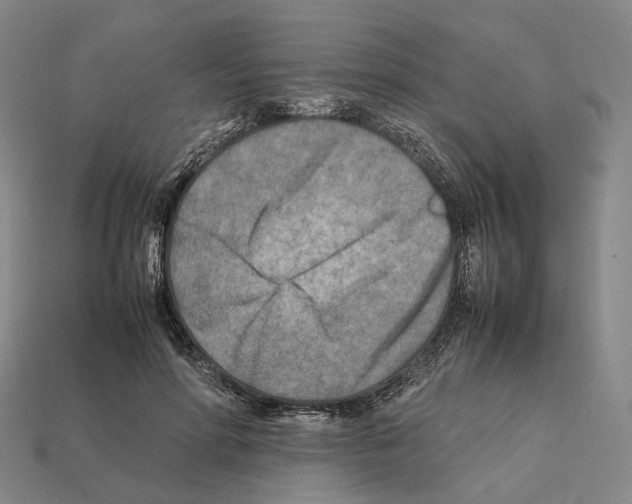 X0000112410598200909251457