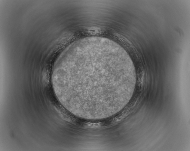 X0000112410606200909251457