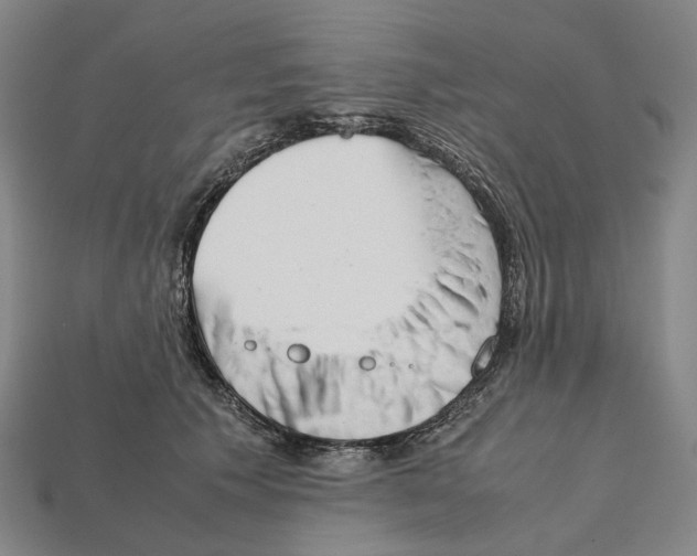 X0000112410609200909251457