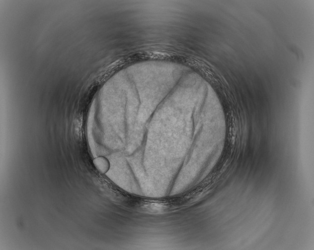 X0000112410610200909251457