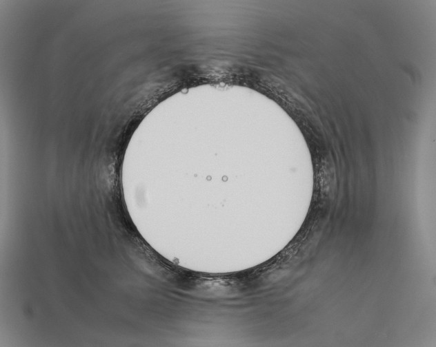 X0000112410611200909251457