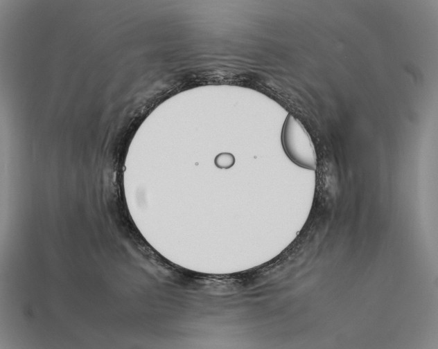 X0000112410615200909251457