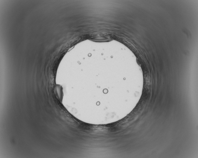 X0000112410617200909251457