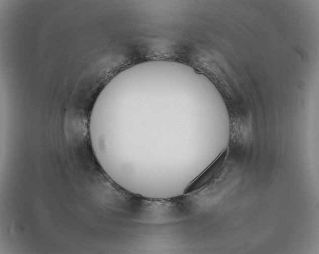 X0000112410621200909251457