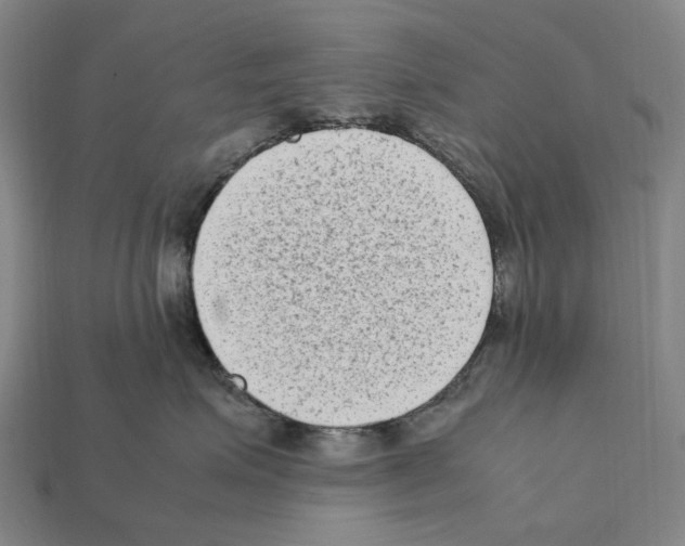 X0000112410623200909251457