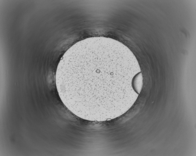 X0000112410624200909251457