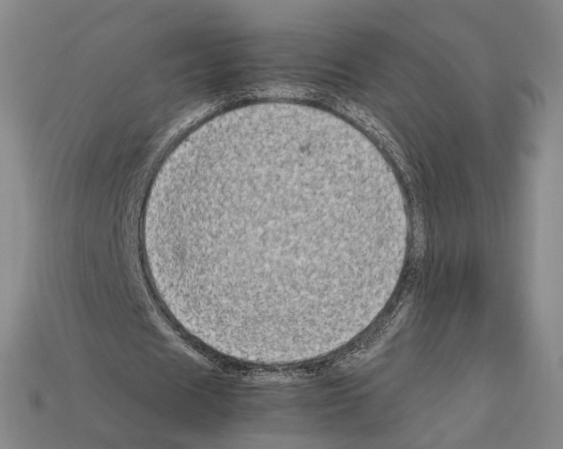 X0000112410625200909251456