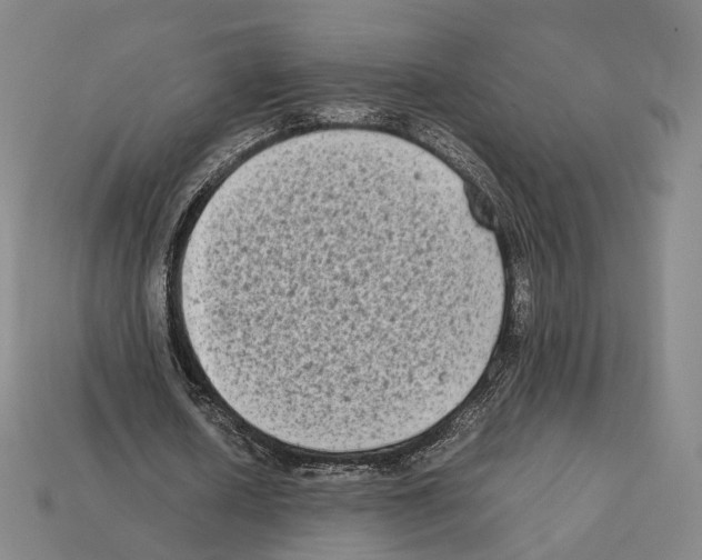 X0000112410626200909251456