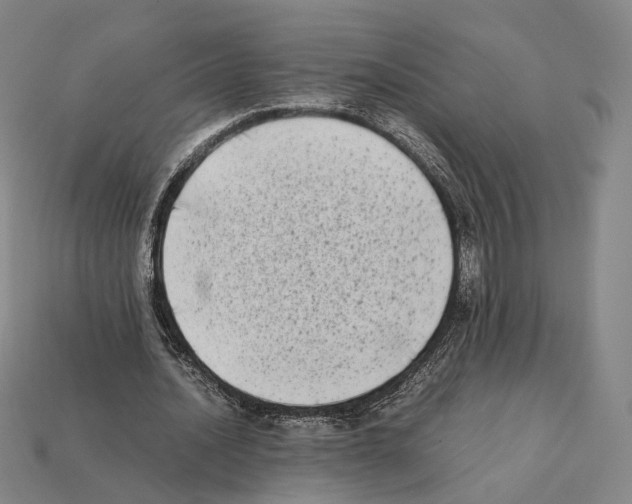 X0000112410628200909251456