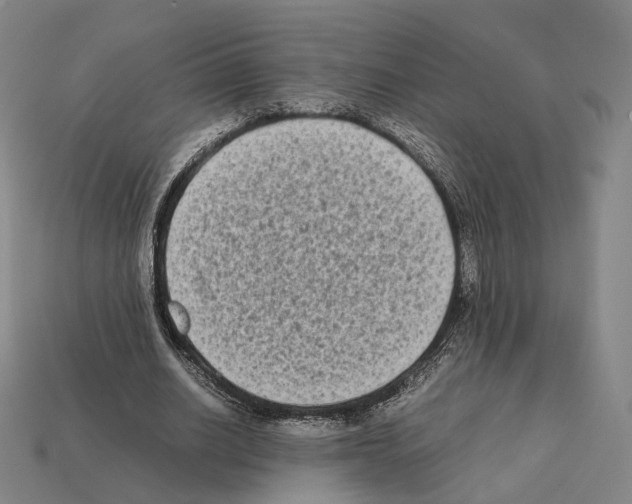 X0000112410630200909251456
