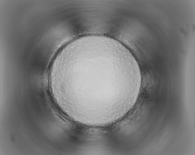 X0000112410632200909251456