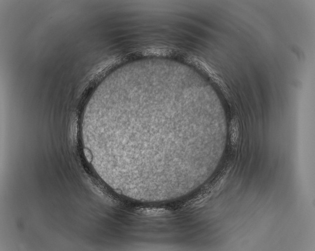 X0000112410637200909251456