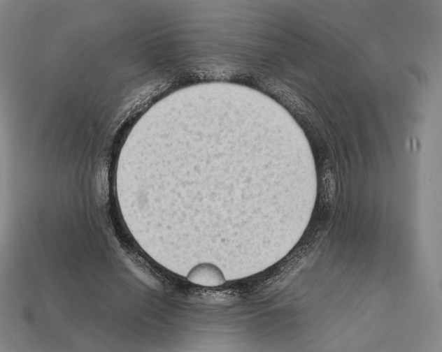X0000112410638200909251456