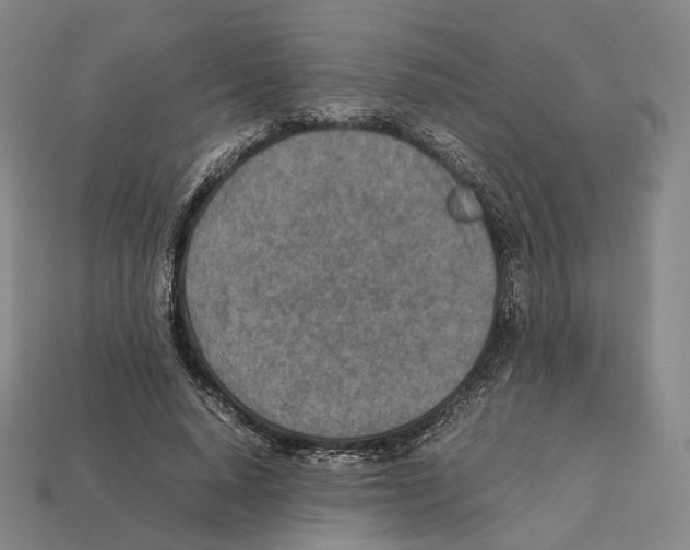 X0000112410640200909251456