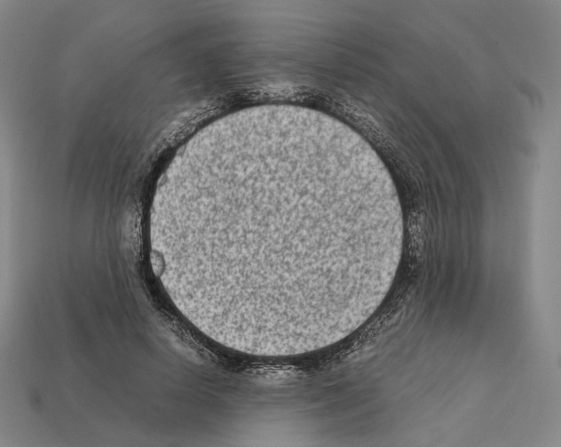 X0000112410642200909251456