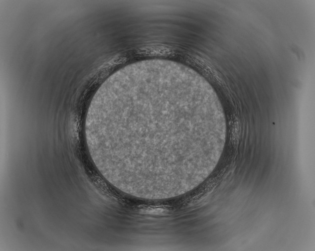 X0000112410643200909251456