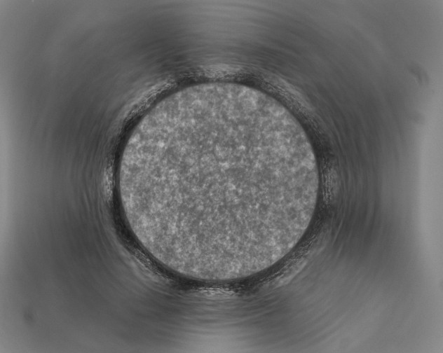 X0000112410644200909251456