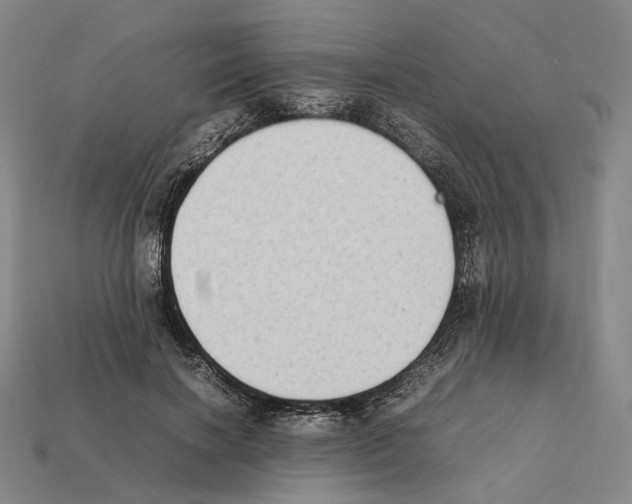 X0000112410646200909251456