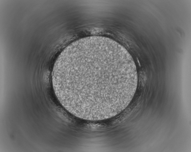 X0000112410650200909251456